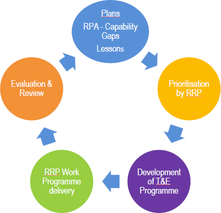 How training and exercising needs are identified by the RRPs